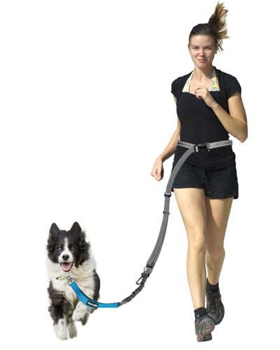Wanfire 2 In 1 Freihandleinen Hundeleine Autosicherheitsgurt 1