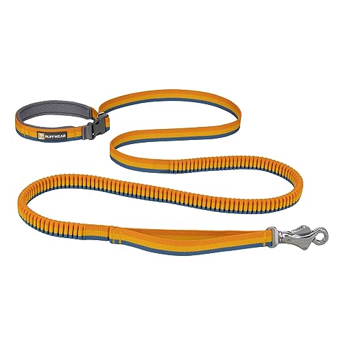 Ruffwear Roamer Bungee Hundeleine Zum Laufen Radfahren Oder