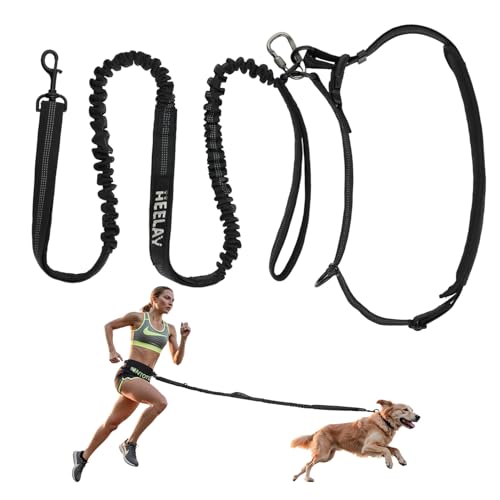 Heelay Joggingleine Hunde Verstellbarer H Ftgurt Und Dehnbare