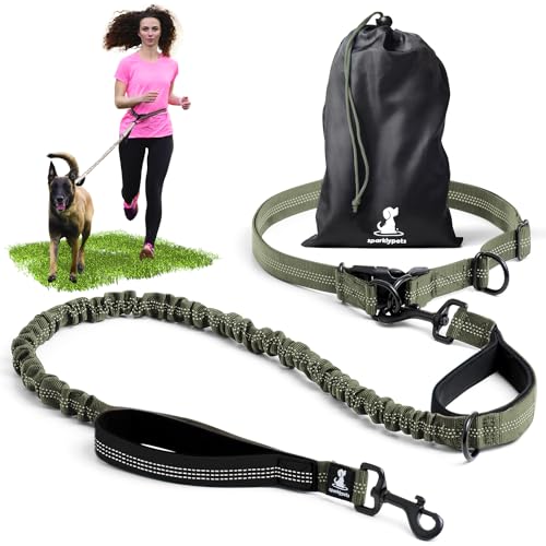 Joggingleine F R Hunde Zum Laufen Joggen Wandern
