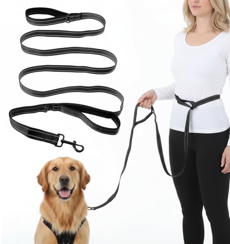 Trainingsleine F R Hunde 8 2ft Freih Ndige