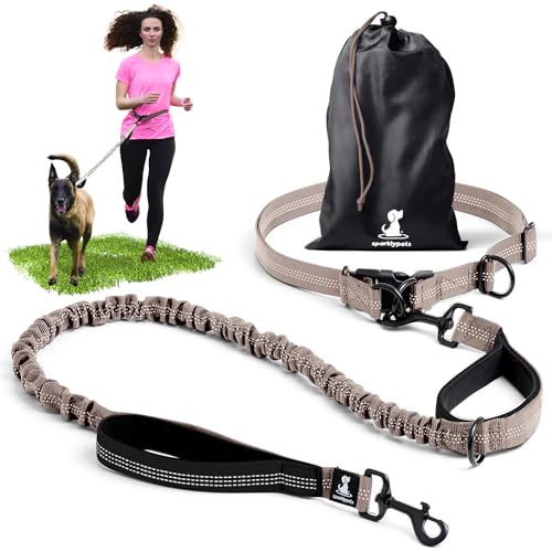 Joggingleine F R Hunde Zum Laufen Joggen Wandern