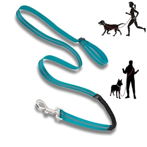 Lalazoo Adventure Joggingleine Hund Mit Sto D Mpfer