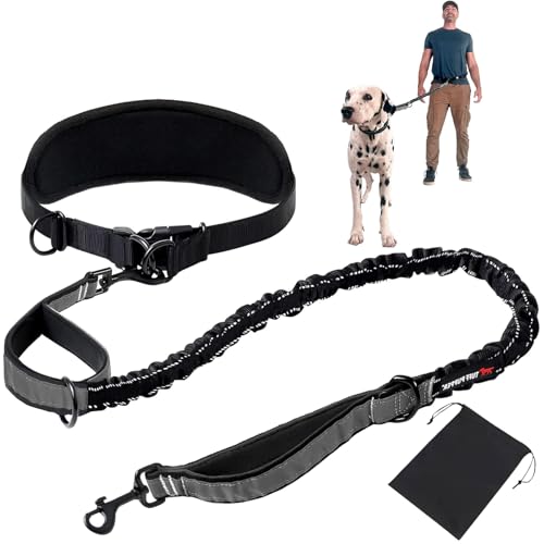 Freih Ndig Laufleine Bungeeteil F R Joggingleine Bauchgurt