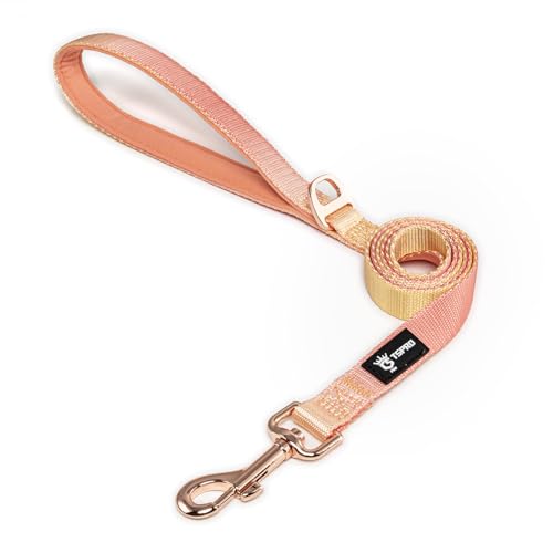 Tspro Leichtgewicht Hundeleine Mit Gepolstertem Griff Und Metallverschluss