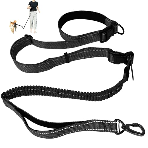 Joggingleine Hunde Freih Ndige Hundeleine Bauchgurt Hundeleine Mit
