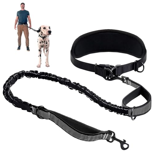 Joggingleine Hunde Freihandleine Hund Hundeleine Gro E Hund