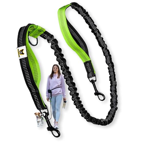 Hundefreund Bungeeteil F R Kleine Hunde Bis 15