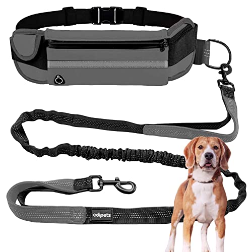 Edipets Joggingleine Hunde Freih Ndig Laufen Wandern Gurtband