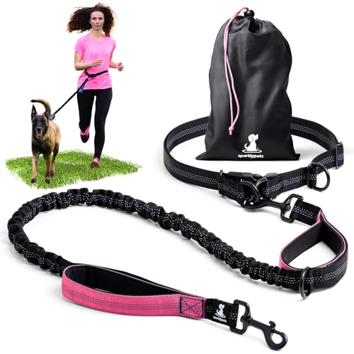 Joggingleine F R Hunde Zum Laufen Joggen Wandern