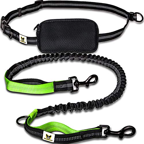 Jogging Leine Elastische Und Reflektierende 120 Cm Hundeleine