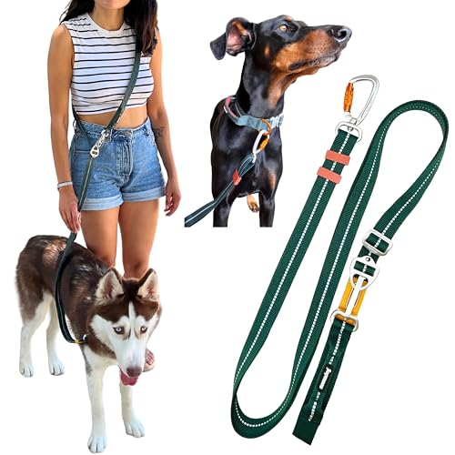 Nomadog Trailblazer Freihandleine Hund 2 4m Doppelseitig Und